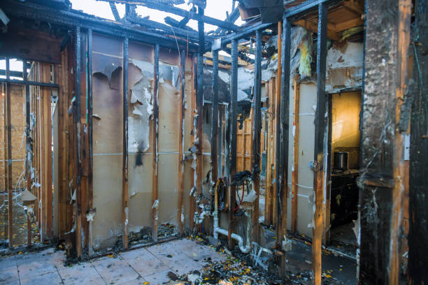 Professional Fire Damage Removal technician working in Carroll, IA